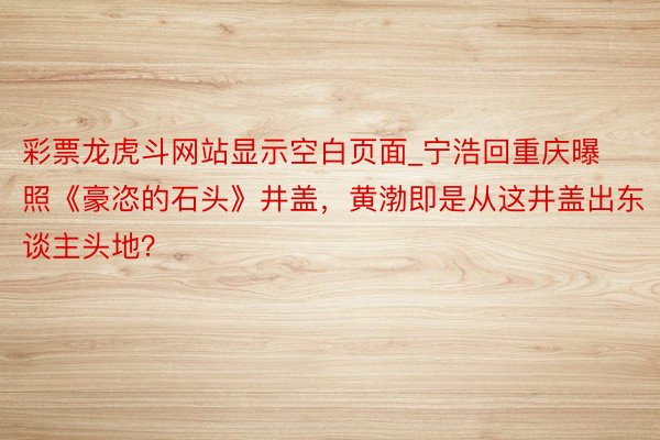 彩票龙虎斗网站显示空白页面_宁浩回重庆曝照《豪恣的石头》井盖，黄渤即是从这井盖出东谈主头地？