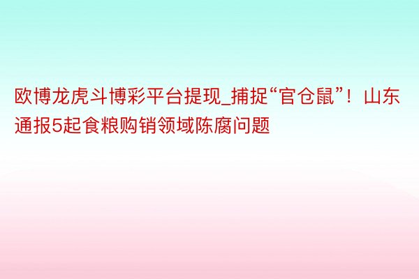 欧博龙虎斗博彩平台提现_捕捉“官仓鼠”！山东通报5起食粮购销领域陈腐问题